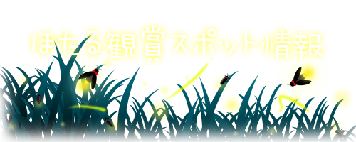 観賞スポット情報